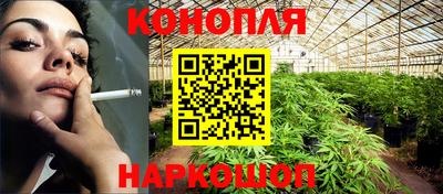 стафф Будённовск