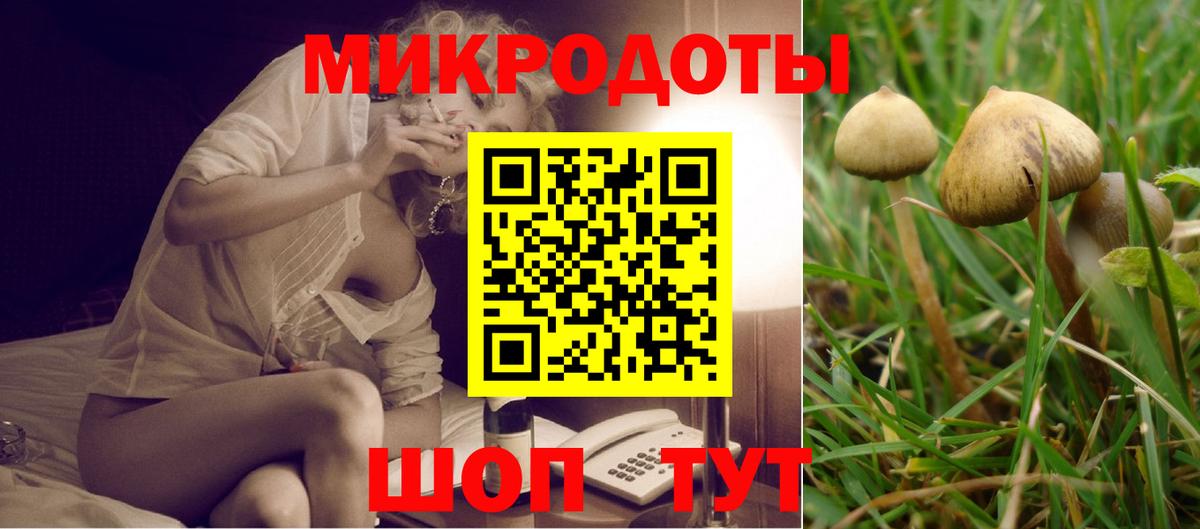 Псилоцибиновые грибы мухоморы  Вход с VPN  Галлюциногенные грибы Psilocybe  Искитим 